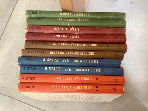 Paradis des oiseaux en - oiseaux,