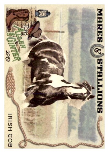 2019 topps allen and ginter - allen,