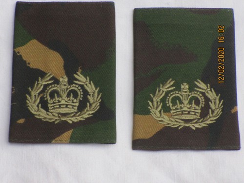 Warrant officer rqms - warrant, 2,