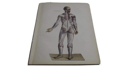 1850 lithographie couleur - 1850.lithographie,