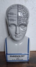 PHRENOLOGY HEAD  MEDICAL BUST