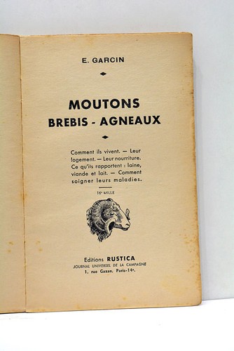 Garcin moutons brebis - garcin,