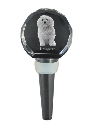 Bichon havanais bouchon vin - de,