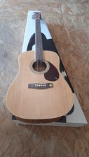 GUITARE ACOUSTIQUE D10