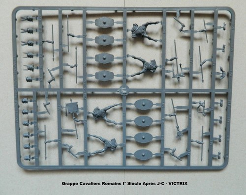 Victrix grappes cavaliers - victrix,