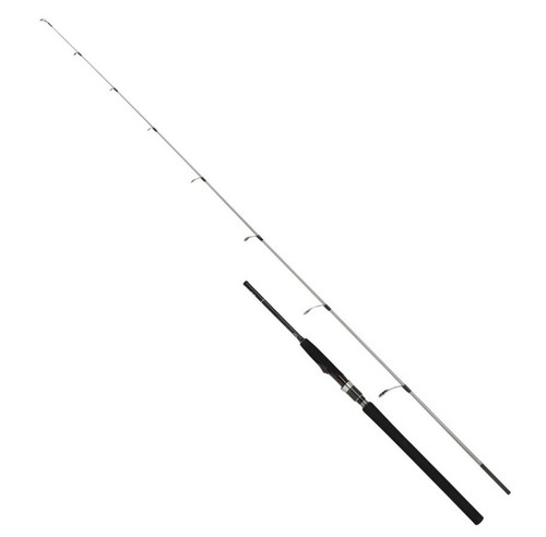 Shimano speedmaster jigging - shimano, r