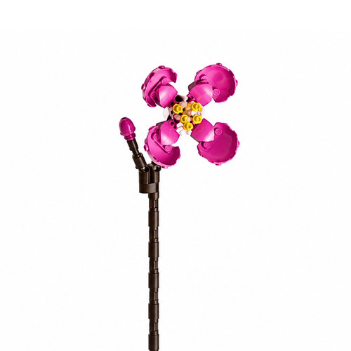 Fleur tige cyclamen rose - fleur, bloc