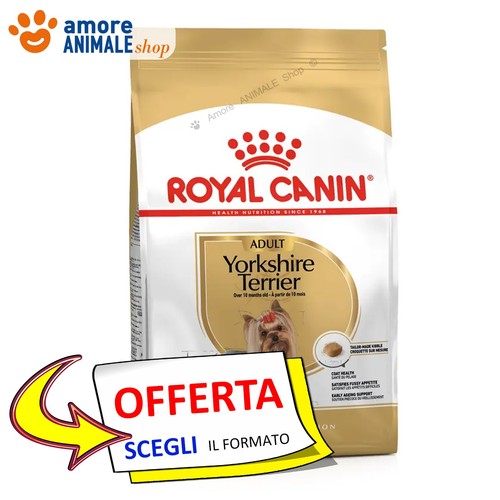 Royal canin chien adulte - chien,