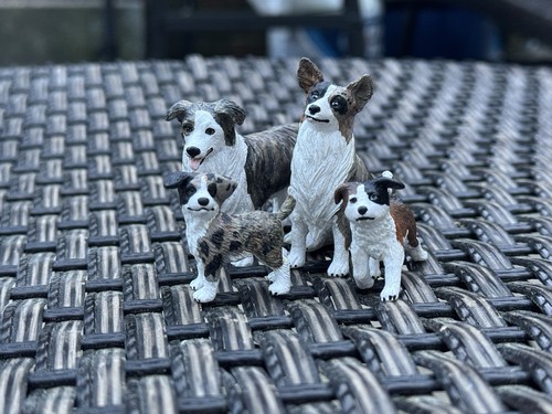 Custom border collie family - border,
