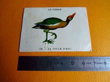 CHROMO 1939 CASINO LE GIBIER N°139 LA CHICKEN D'EAU BIRD HUNTING
