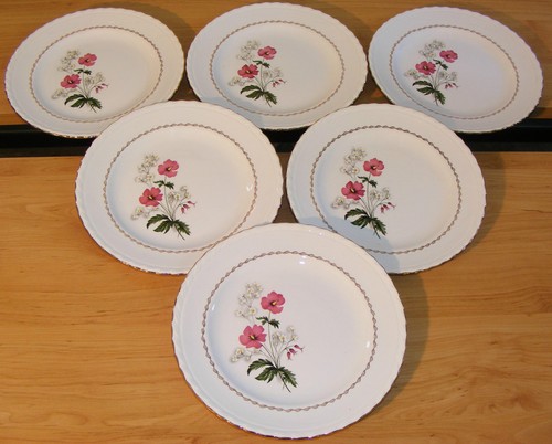 Assiettes plates faïence - assiettes,