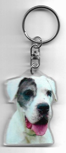 Dogue allemand porte - allemand,