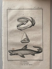 GRAVURE  DES POISSONS  PAR
