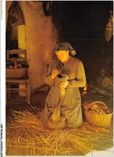 AKPP8-0624-CRAFT - IN PERIGORD - GOOSE FEEDER