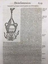 Parfumerie Phytothérapie