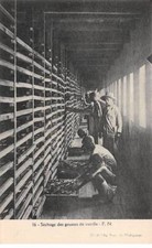 MADAGASCAR - SAN56593 - Drying vanilla pods - Agriculture