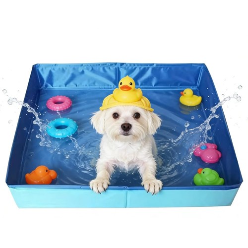Piscine pour chien - pour,