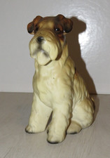 chien en barbotines,   Race 