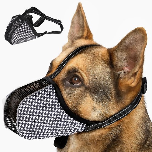 Muselière pour chiens - muselière,