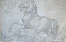 Cheval, dessin ancien, mine de plomb, XIXe