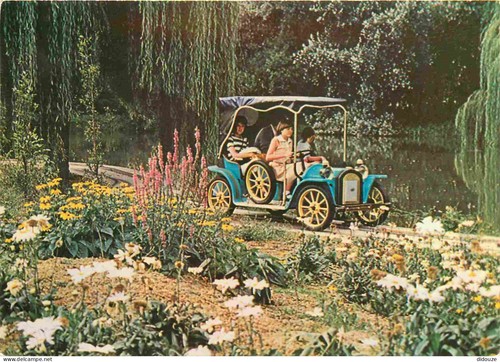 Carte postale parc - -,
