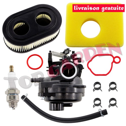 799584 carburateur pour - 799584,