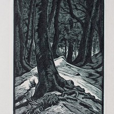 Karl Hennemann Forest Trees Woodblock Print Japan 1951 Signed Hand Print Mat