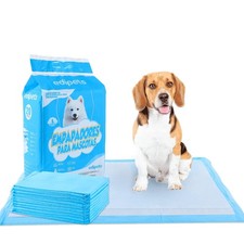 Alaise pour Chien, Alese