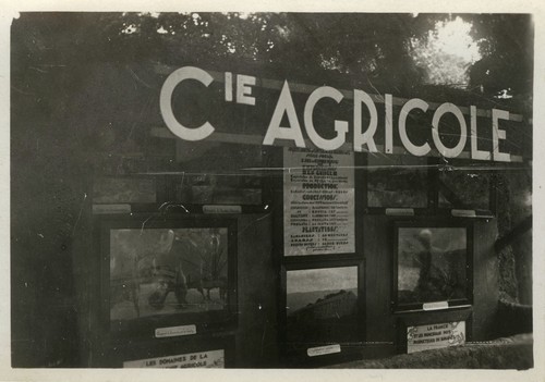 Old photo vintage - snapshot,