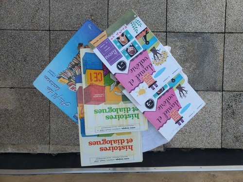 Livres scolaires anciens lot - livres,