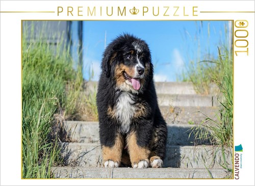 Puzzle calvendo bouvier - calvendo,