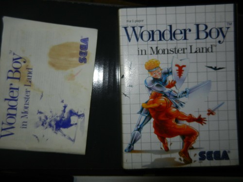 Wonder boy monster land - boy, in