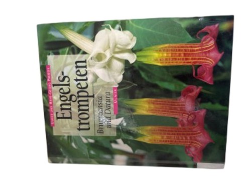 Engelstrompeten brugmansia - engelstrompeten,