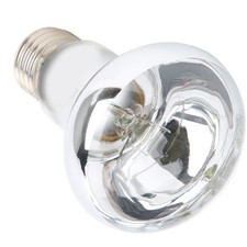 -- Lot De 2 Ampoules