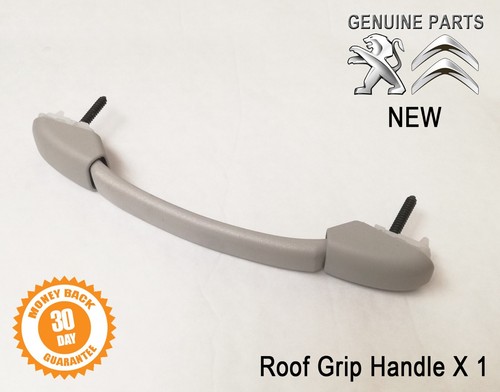 Interior roof grab handle - roof,