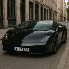 Private Plate AD17 BOS all fees have been paid