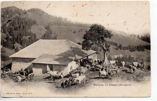 Suisse switzerland chalets - suisse,