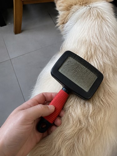 Brosse toilettage pour - toilettage,