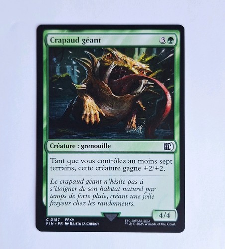Magic the gathering final - magic,