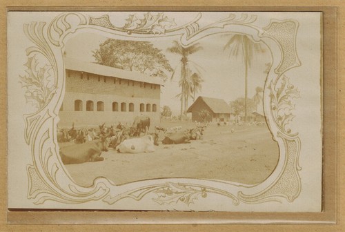 Carte photo rppc - photo, kwango
