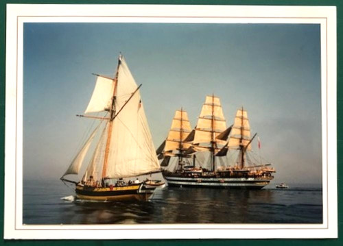 Carte postale renard - postale, »