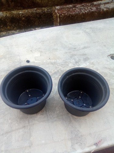 Pots fleurs - pots, de