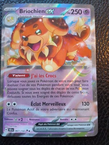 Carte pokemon briochien - briochien, ex