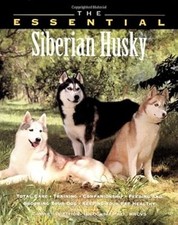 The Essential Siberian Husky