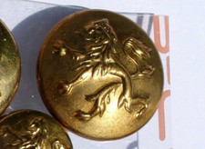 BELGIAN MILITARY UNIFORM BUTTON LION LEOPARD BELGIAN ARMY 25mm BUTTON ARMY WW2