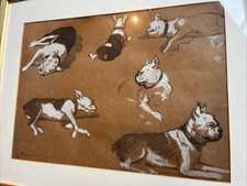 « Bouledogue Français 1946