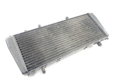 Aprilia RSV 1000 R [2004] -