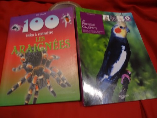Lot livres les - araignées,