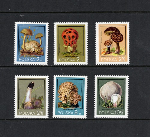 T1741 pologne 1980 champignons - 1980,