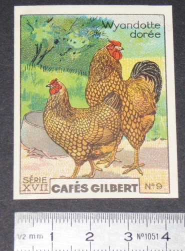 Chromo 1936 cafes - cafes, gilbert